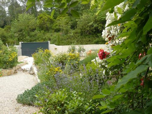 Tranquilit� Et Piscine En Provence Verte
