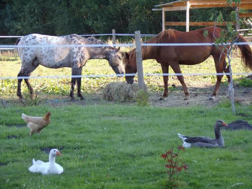 Bed & Breakfast Les Chambres Du Vau Profond