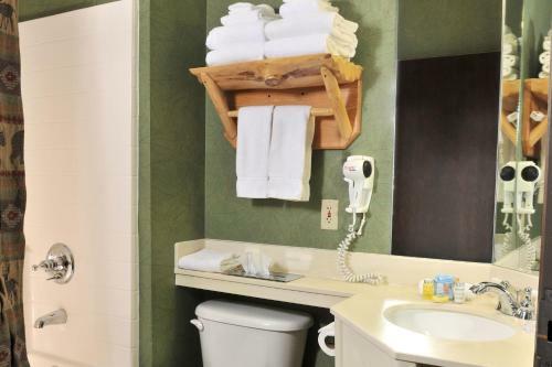 Stoney Creek Hotel & Conference Center - Peoria