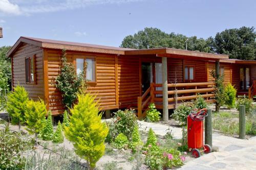 Lovely Tiny House With Shared Pool And Balcony In Bodrum
