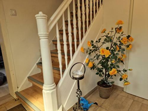 Apartamento Haus Lauterberg 4
