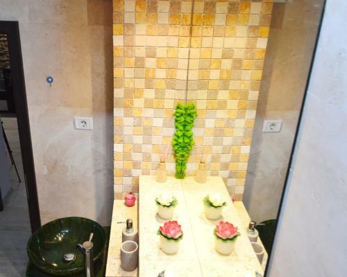 City Park Apartment