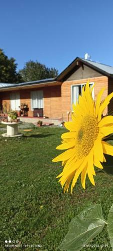 Casa De Campo Llif�n Futrono Lago Ranco
