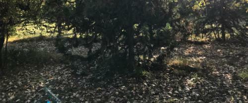 Casa San Alfonso , Cajon Del Maipo.