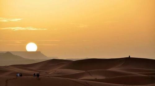 Shooting Stars Luxury Desert Camp