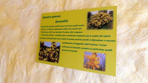 Apartamento Welcomely - Domu Sa Ruda