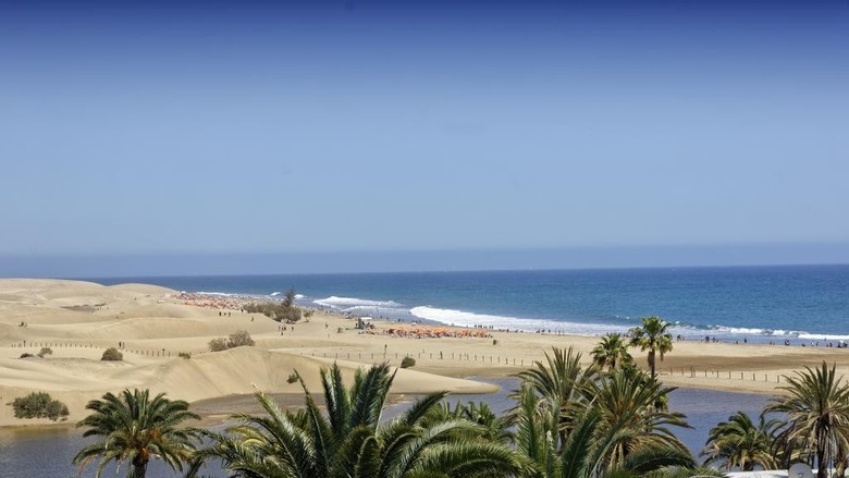 Cocoteros Apartments - Riversun Touristics