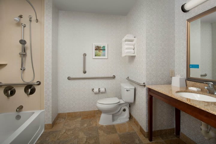 Hotel Hampton Inn & Suites Holly Springs
