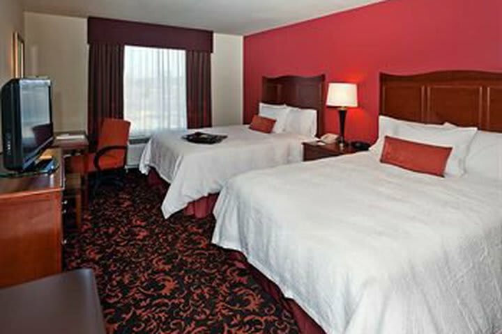 Hotel Hampton Inn & Suites Holly Springs