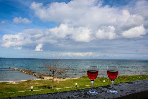 Pelagion II Sea Coral - Beachfront Holiday Home