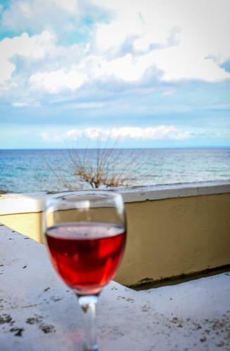 Pelagion II Sea Coral - Beachfront Holiday Home