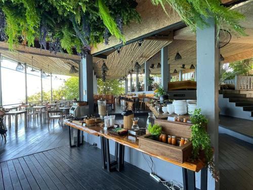 Hotel Vikasa Yoga Retreat