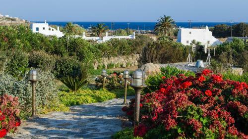 Villa Argy Kalo Livadi Mykonos