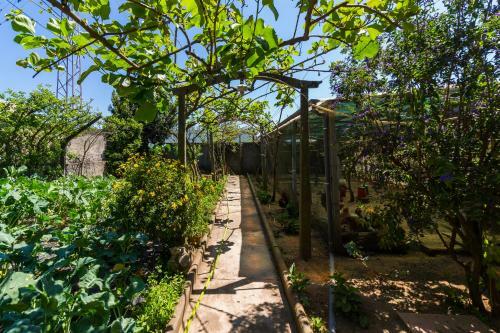 Ara�jo 111 - Traditional House