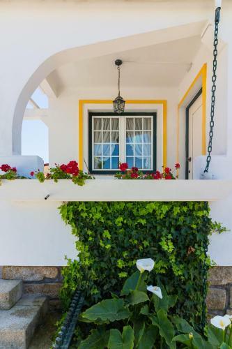 Ara�jo 111 - Traditional House