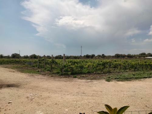 Apartamento Oasi Delle Vigne