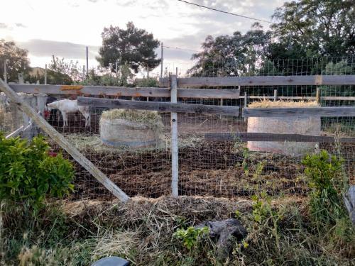 Apartamento Oasi Delle Vigne