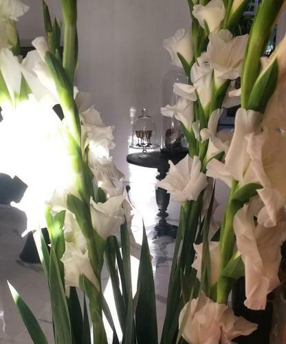 Bed & Breakfast Casa Agapanthus