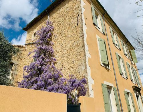 Apartamento Appartement Avec Jardin Et Spa Privatifs