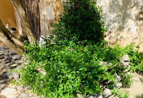 Apartamento Appartement Avec Jardin Et Spa Privatifs