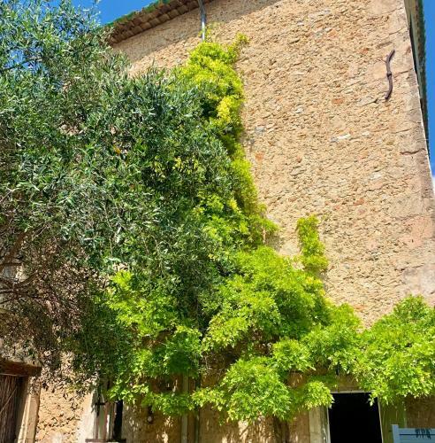Apartamento Appartement Avec Jardin Et Spa Privatifs