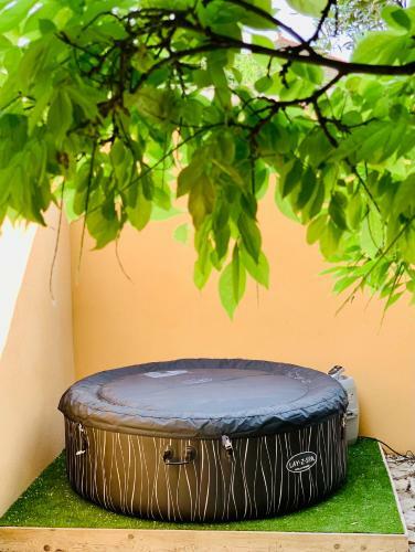 Apartamento Appartement Avec Jardin Et Spa Privatifs