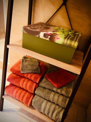 Apartamento Appartement Avec Jardin Et Spa Privatifs