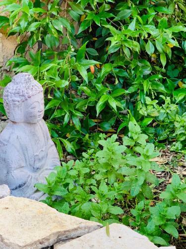 Apartamento Appartement Avec Jardin Et Spa Privatifs