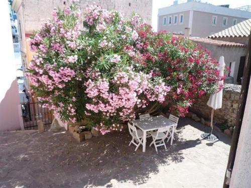 Casa Centro Con Giardino La Maddalena