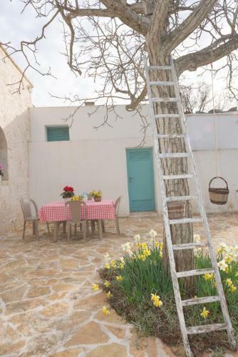 I Trulli Di Mina - Lamia Fresia