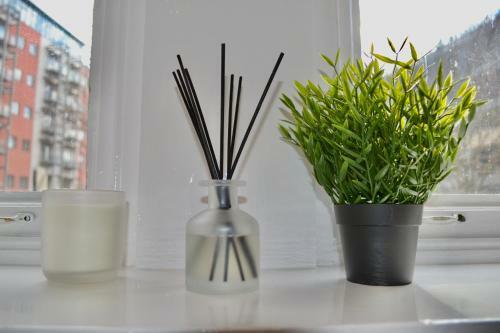 Apartamento Monkey No 7 - Quirky Stylish 2 Bdrm