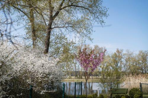 Apartamento Ferienwohnungen ?villa Havelblick?