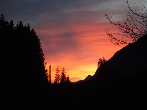 Apartamento Alpin-check-in