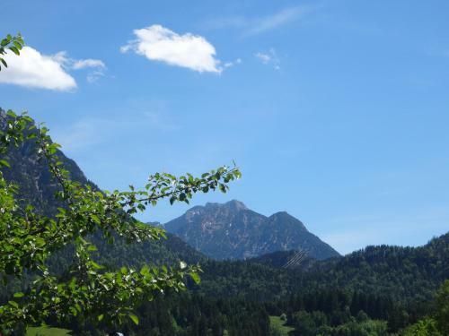 Apartamento Alpin-check-in