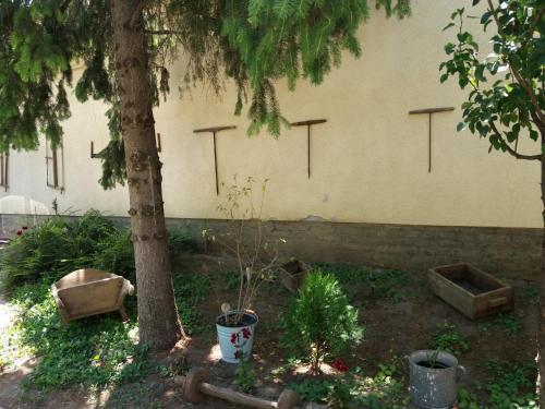 Hostal Kult�r�let Vend�gh�za