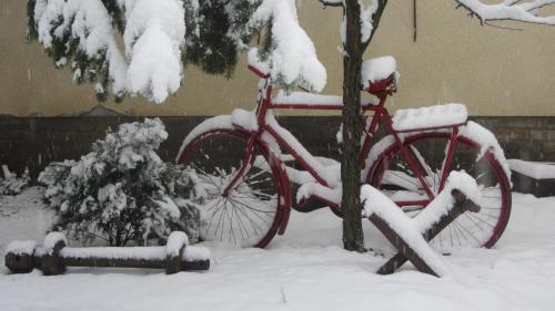 Hostal Kult�r�let Vend�gh�za