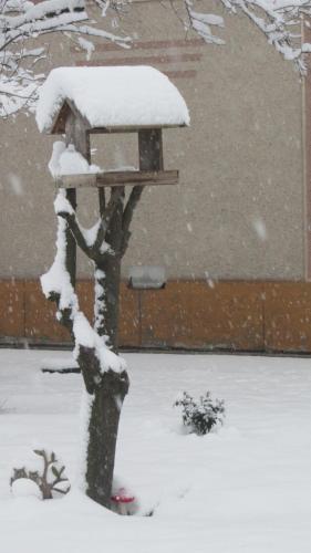 Hostal Kult�r�let Vend�gh�za