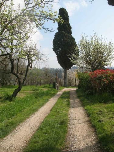 Agroturismo Agriturismo La Torretta