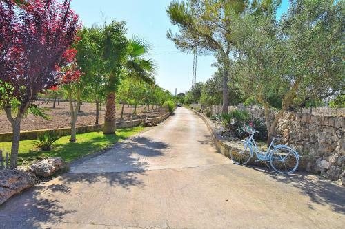 Villa Vernissa Santa Margalida 288