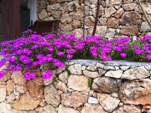 Agroturismo Agriturismo La Rocca Di Perti
