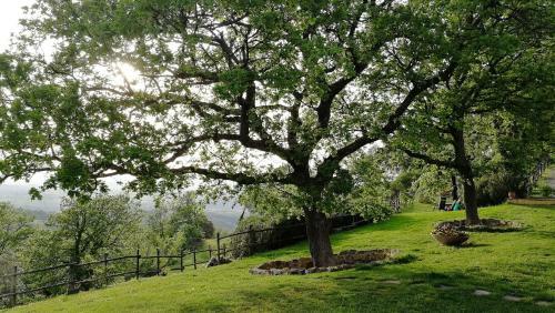 Agroturismo Il Troscione