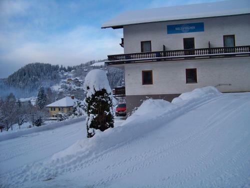 Hostal Alpenpension Gasthof