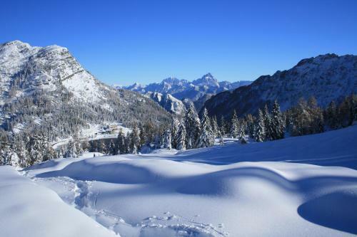Aktiv & Sport Apartments Oberj�rg