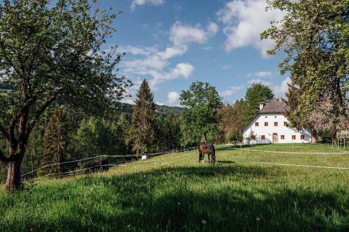 Bauernhaus D�rfl In Der Strass