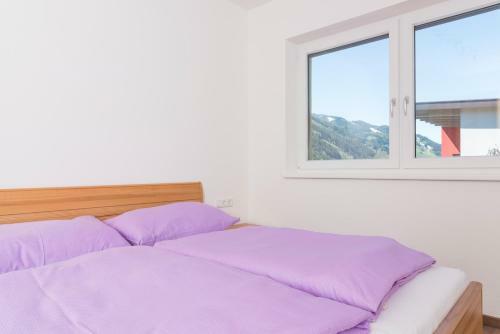 Bergblick-planai By Schladmingurlaub