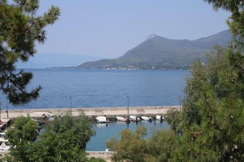 Hotel Tsirigotis Standard Sea View