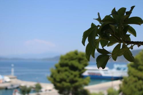 Hotel Tsirigotis Standard Sea View