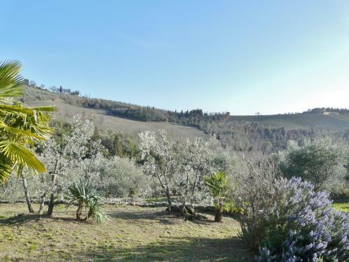 Agroturismo Podere Patrignone