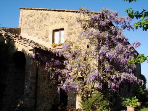 Agroturismo Podere Patrignone