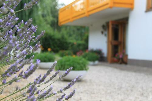 Hotel Garn� Goccia D'oro
